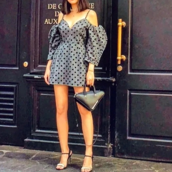 NWT Delphine The Label Hear Me Howl Polka Dot Dress in Gray 4 - Picture 5 of 9